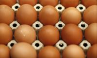 Яйца - Яйцепром  L или M
